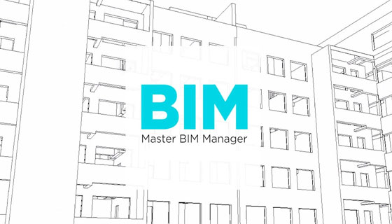 Job for BIM Manager in Dublin